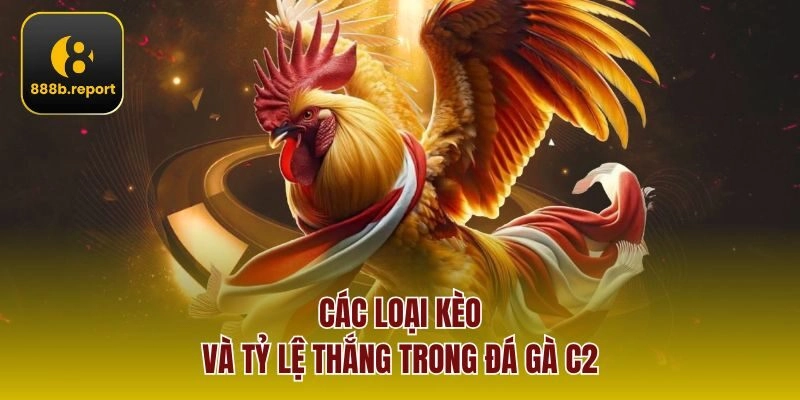 Các loại kèo và tỷ lệ thắng trong đá gà C2