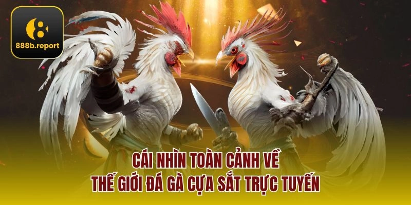 Cái nhìn toàn cảnh về thế giới đá gà cựa sắt trực tuyến