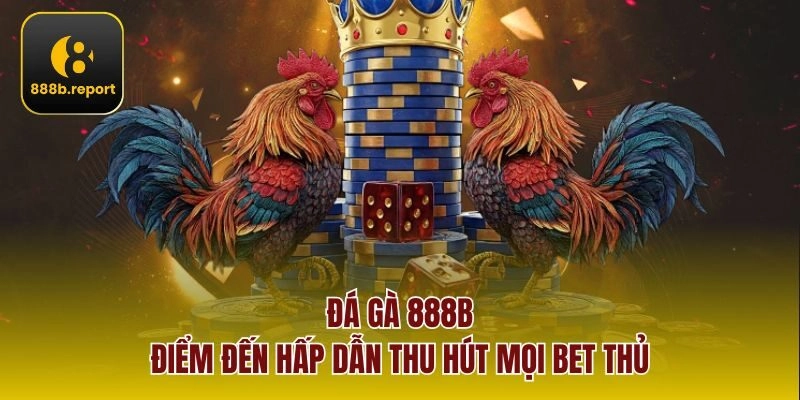 Đá gà 888b - điểm đến hấp dẫn thu hút mọi bet thủ