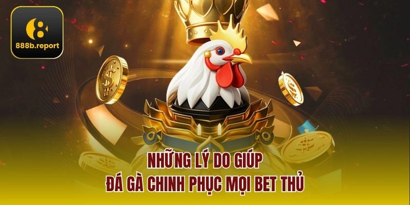 Những lý do giúp đá gà chinh phục mọi bet thủ